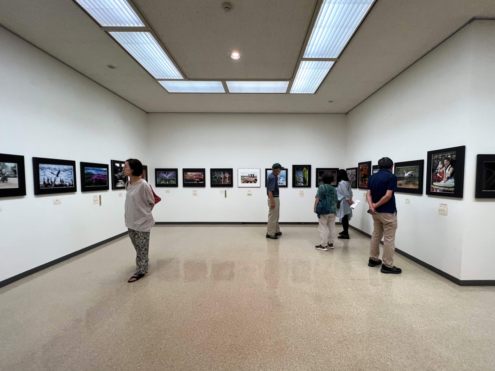 シニア美術展の様子